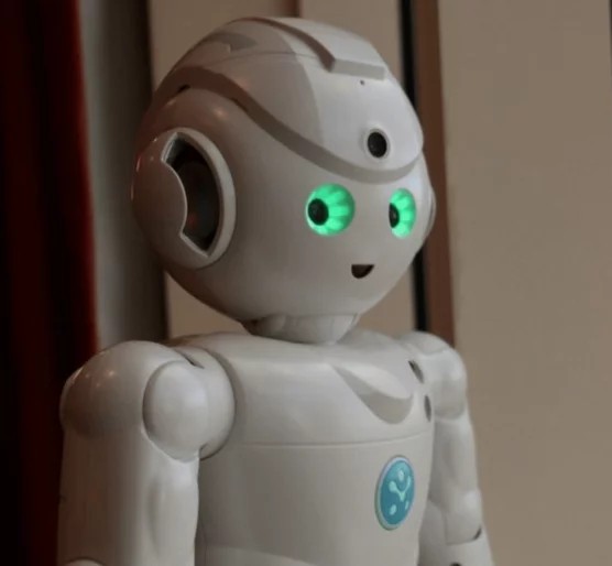 Artificial Intelligence in Home Robots – Current and Future Use-Cases ...